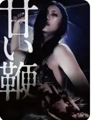 《甜蜜皮鞭》1080P未删减版在线观看《甜蜜皮鞭》高清中文字幕完整版