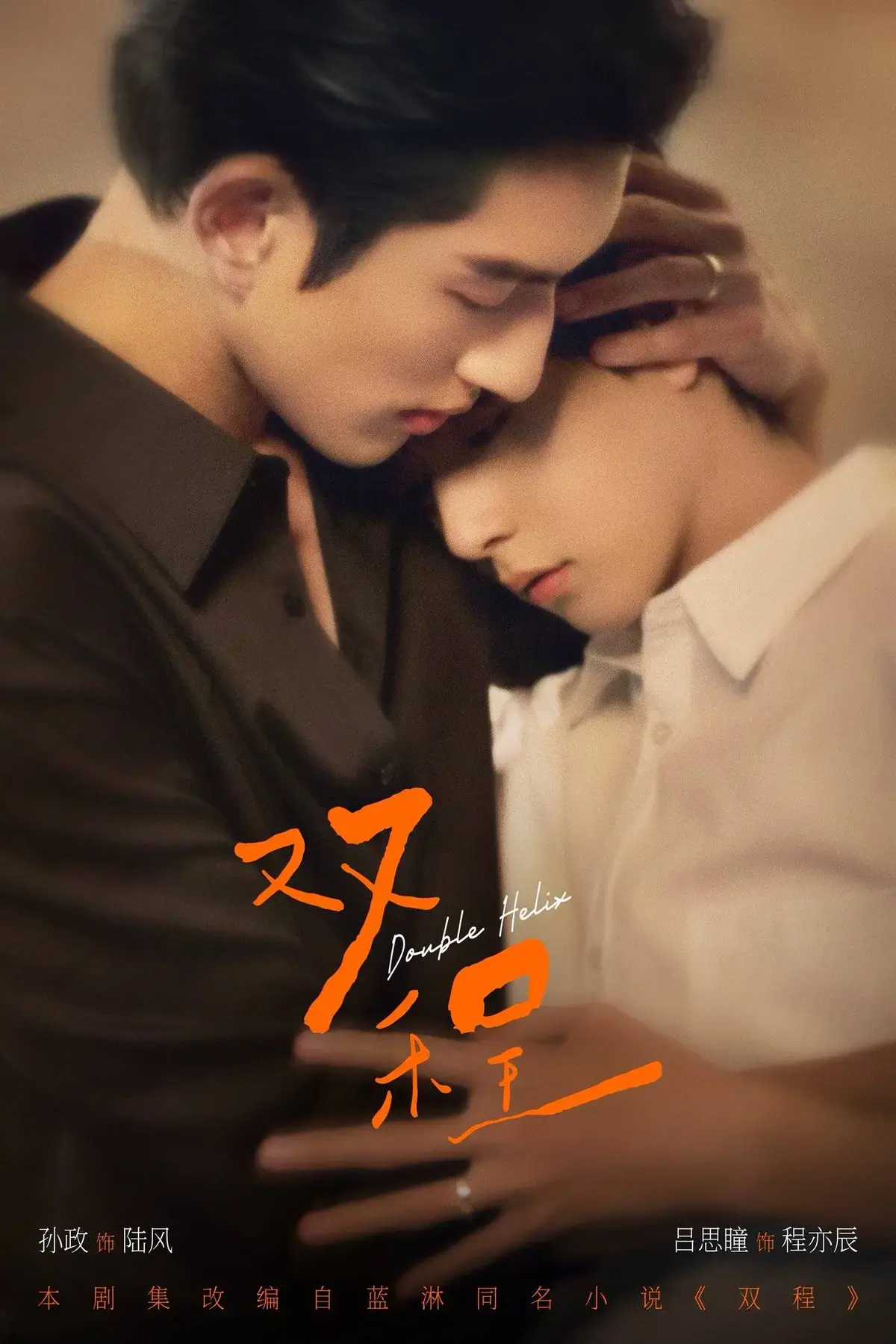 《双程》4K超清完整版：《双程》全10集无删减在线观看，高清画质下的虐心爱情故事