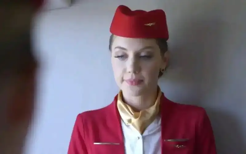 《私人航空/法国空乘》《私人航空》在线观看，《法国空乘》高清未删减版网盘资源下载《私人航空/法国空乘》